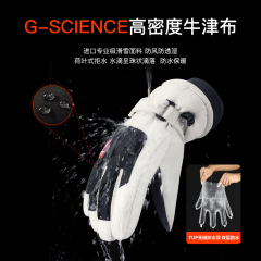 Winter Outdoor Ski Gloves for Men and Women, Windproof and Warm, Fleece Lined and Thick Insulated, Waterproof and Slip-Resistant Touchscreen Gloves