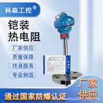 厂家直供铠装热电偶PT100耐高温耐腐蚀温度传感器K型热电阻热电偶