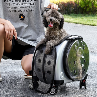 Pet Trolley Case Transparent Space Capsule Multi-use Double-shoulder Cat Bag Large Capacity Two Portable Small Dog Outgoing Bag