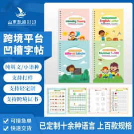 其他益智玩具;玩具挂图;早教闪卡