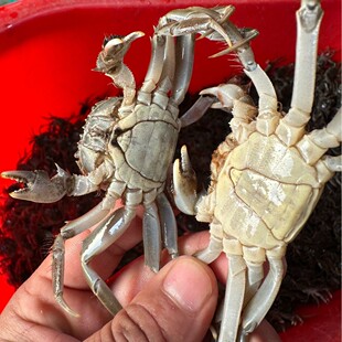 ���K���|��ˮ�Bֳ�з���з���|�����C��ĸ��ϻز��ʸ�