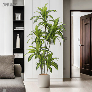 �߶��p�ݷ���Gֲ����ľ���Է�������辰�پGֲ�b����҃Ȕ[��