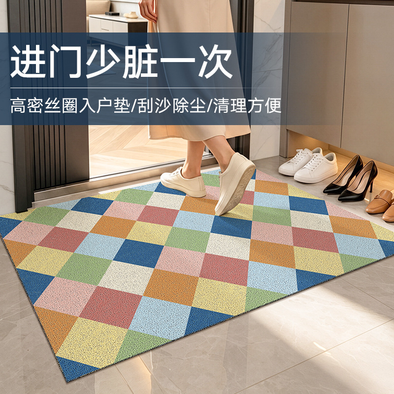 多巴胺入户门地垫耐脏免洗pvc丝圈家用玄关进门刮沙除尘脚垫垫子
