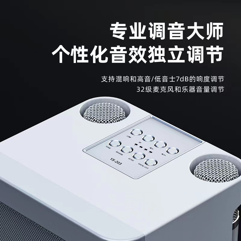 KD-203 bluetoothスピーカー家庭用無線k歌音響ダブルマイクマイク移動屋外歌唱家庭KVT|undefined