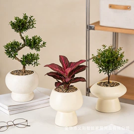 装饰花瓶;花盆装饰;花盆容器