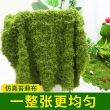 1*1�׷���̦�\�쾰��Ƥ�辰���΢���^�Ҿ��b���ë�\�Ĕz����