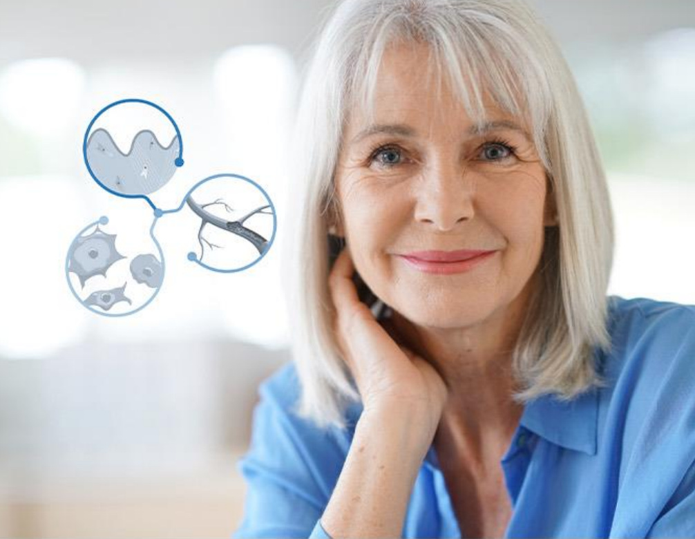 ��˥�ϻ�����REGENIXIR