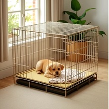 ؈�\�����ṷ�\������Ȯ���C�řڎ��������Ӗ������ռ�؎����҃�