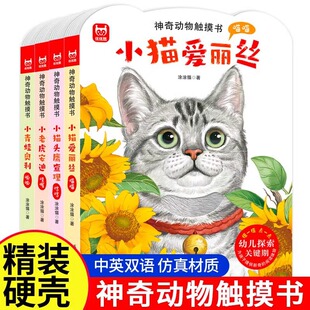 ��������|������Ӣ�p�Z�׃������|����С؈�^������