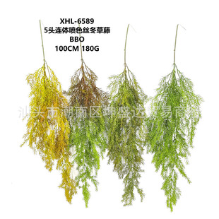 ����ֲ�� 5�^�B�w��ɫ�z������ �Ҿ��҃���[�����W�L�� �S�����l