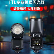 ؐh1WA^ledCCWѥTTLxCęC픟