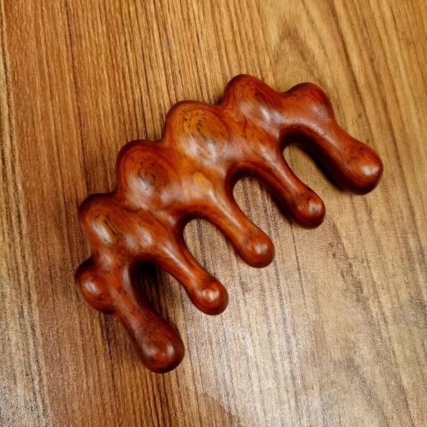 Rosewood dragon back