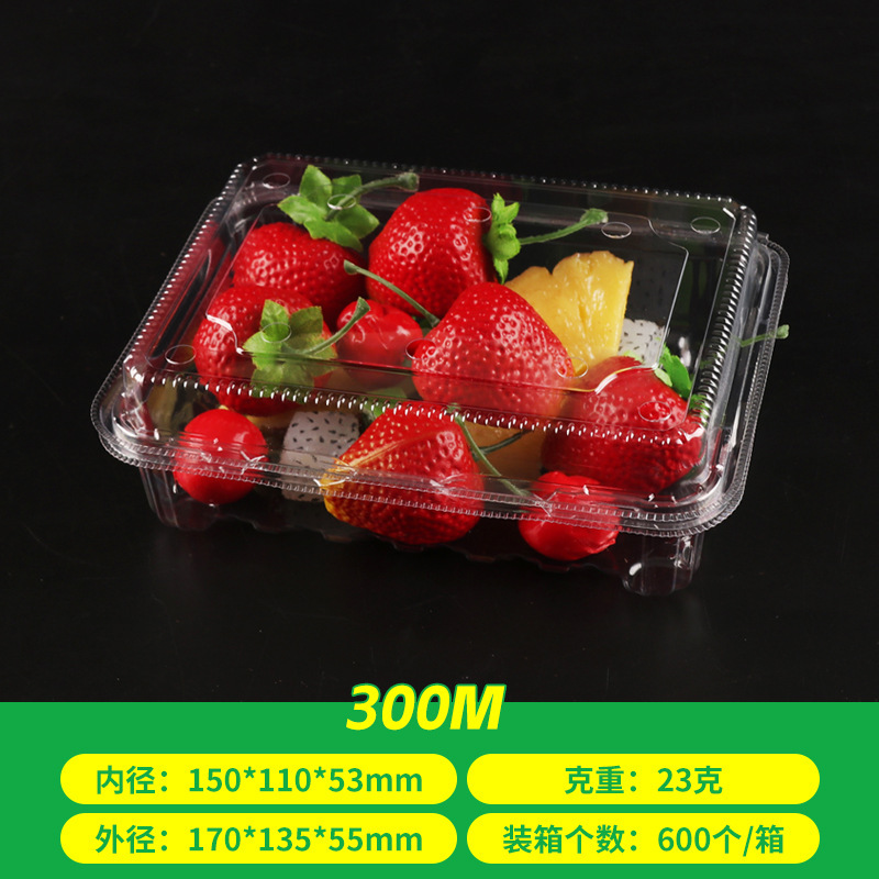 使い捨てフルーツボックス、スイカ、イチゴ、食品グレードプラスチックボックス、弁当フルーツカットボックス、使い捨て透明果物・野菜ボックス|undefined