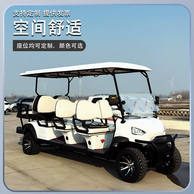 Golf Cart Foreign Trade Elektrikli qolf avtomobilləri
