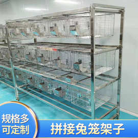 兔笼架子 加粗加密热镀锌丝免清粪阶梯式自动兔用草架放草的架子