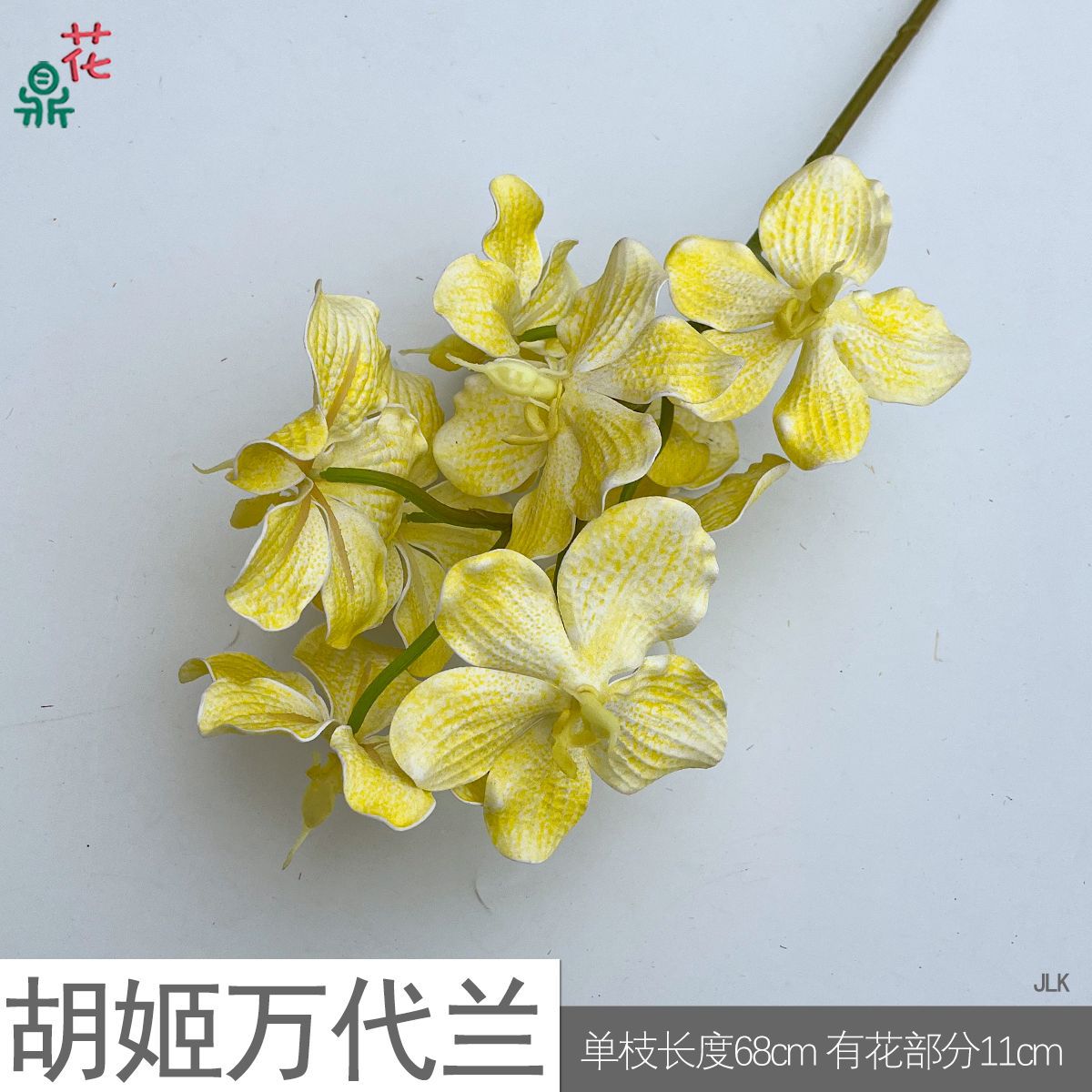 오키드 반다이 란 JLK#14 옐로우