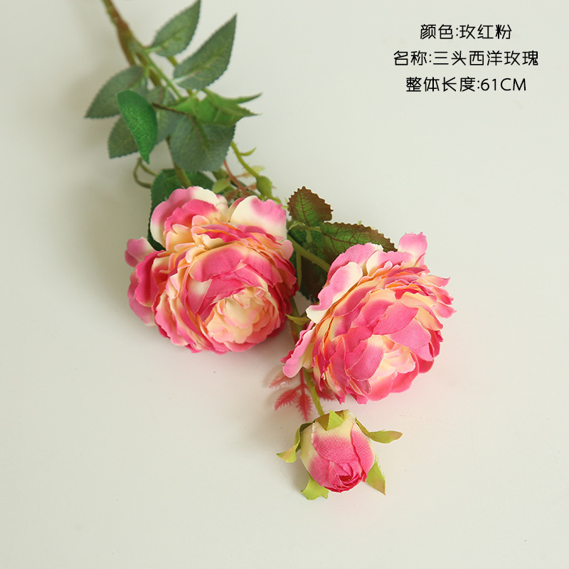 로즈 파우더 06