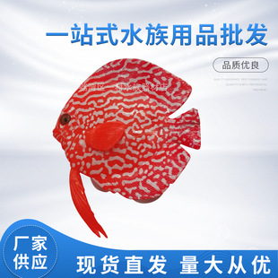 �����߲������~�~���Ʒ�쾰ҹ������~ˮ���b�Ʒ���z���ϼ��~