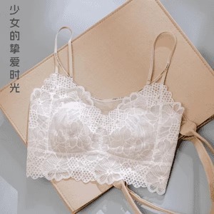 Wanluoti 9539 花柄レース美背中繊細な薄いカップ春夏シームレスメッシュ女性の小さな胸の下着黒綿|undefined