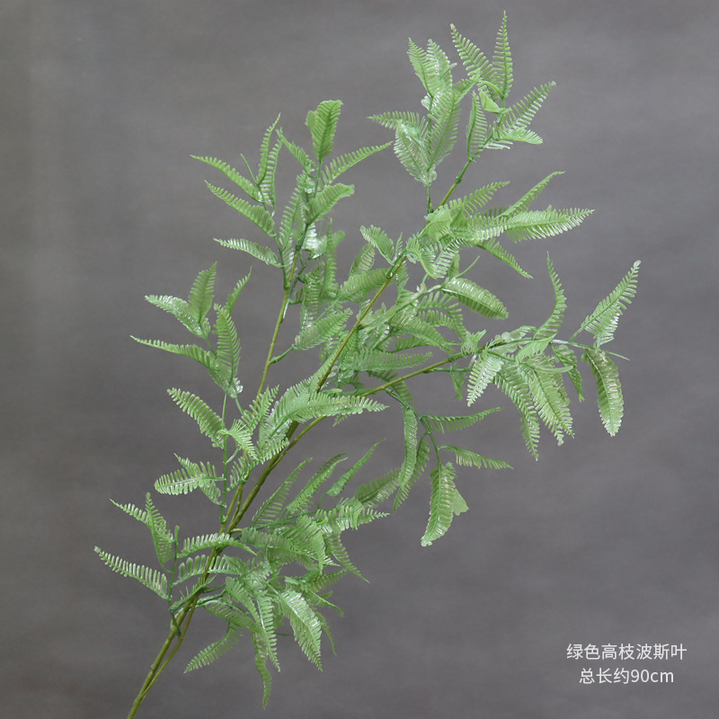 Una rama de hojas persas de ramas altas verdes