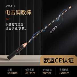 roomfun房趣电击情趣产品电子脉冲棒拍SM成年人玩具高级