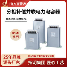 ָ�����FBSMJ0.25-5X3-1 ���ͽӷ��͉��������� �����a�������