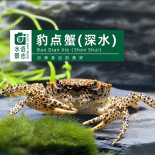 ���cз��ˮз����з����з����з�^�pз��������зɳз��S���]