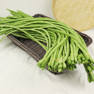 �����L���߲˼����˰ײ˶����S�����ӿ�����t�����������}������