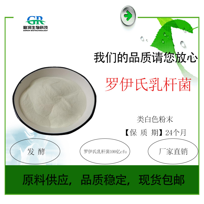 罗伊氏乳杆菌100亿活性乳酸菌 益生菌冻干粉 500克/袋量大优惠