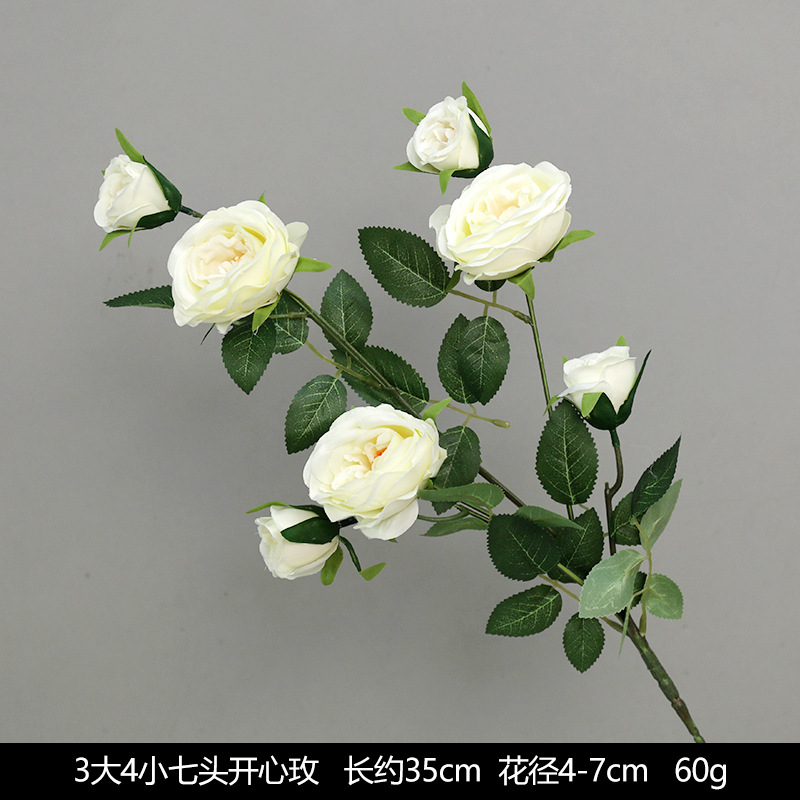 3 big 4 small seven heads happy rose