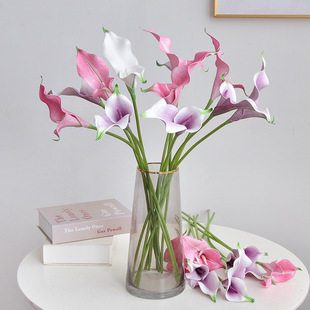 �����֧�p�^�R��ɏ�ٻ���c�������Ļ���EVA�p�����R��ɏ�ٻ�