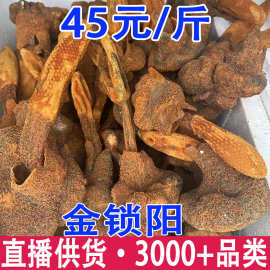 续阳草  金锁阳 顶天住 云南山货批发