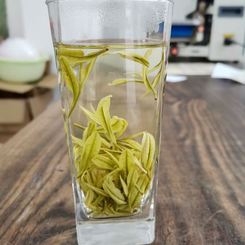 半斤裝250克安吉白茶珍稀白茶原産地明前安吉白茶簡裝 批發茶廠