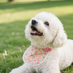 犬の猫の口のタオルの新型のプリントのペットの三角のタオルの中で小型の犬のテディの博美の方のタオルのペットは首を囲みます。