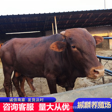 ��ľٝ��ţ���Bֳ�����SţСţ���� ��ľٝ�NţСţ�̃r��