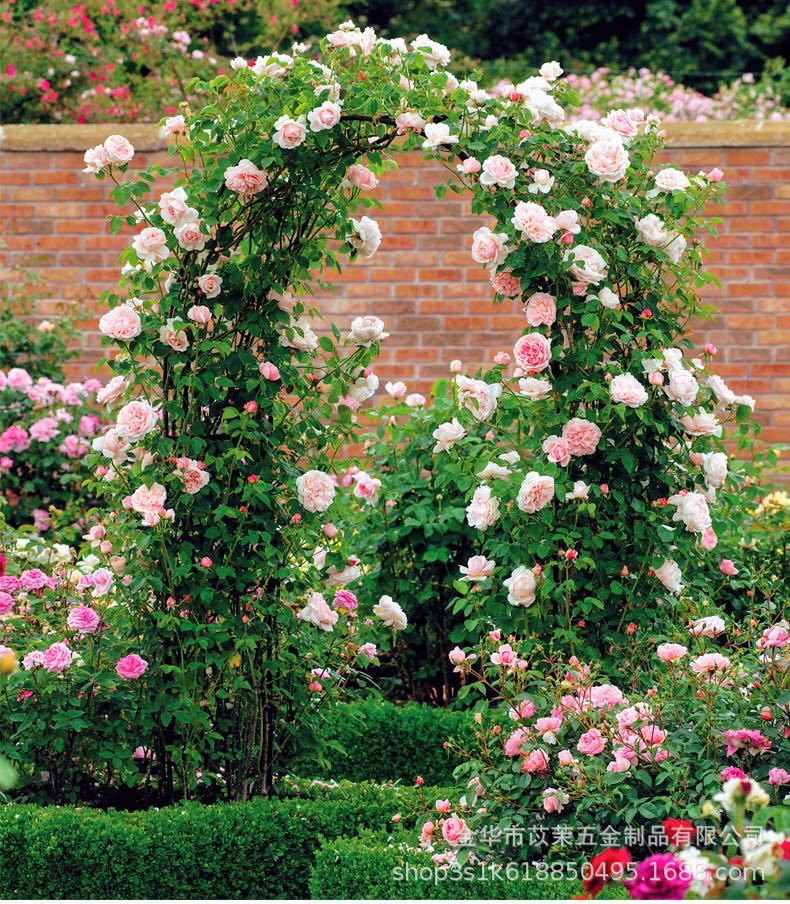 O1CN01ANeL4v1nnsORJbSNc_!!7169