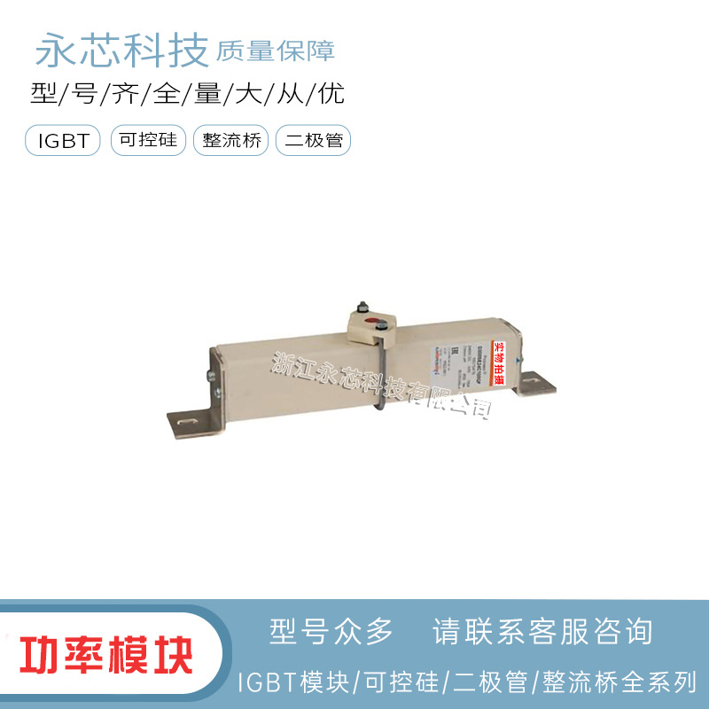 D300SE24C125QF  D300SE24C160QF全新原装方形快速熔断器保险丝