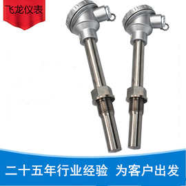 热电阻直径20mmWZPNM-231直径20mm加厚PT100温度传感器