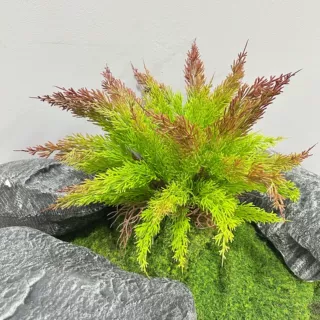 仿真绿植狐尾天门冬室内家居装饰阳台庭院花园植物婚庆花艺造景