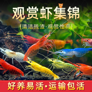 �ښ��r�r���^�pˮ���r���B�ͻˮ��ˮ��̖����ѻ��r�~���^�p�~