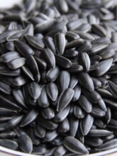 斤奶油斤2炒货小油原味黑珍珠零食油葵葵花籽生香薄盐熟5年货瓜子