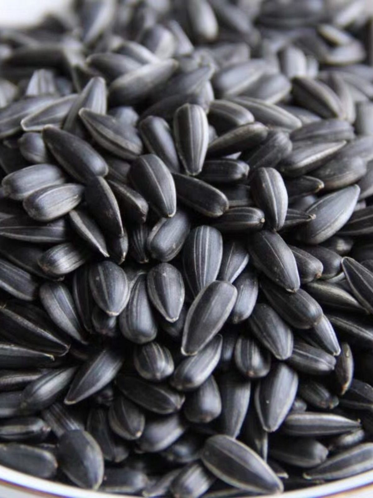 斤奶油斤2炒货小油原味黑珍珠零食油葵葵花籽生香薄盐熟5年货瓜子