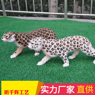 ������X������ģ�ͷ��汪��ë�q������晻���[����ˇƷ