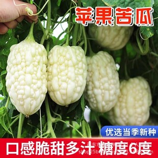 ̨���O����ϷN�Ӱ׾G�O����ϷN��ˮ����ϷN���߲˷N�ӷN�Ӵ�ȫ