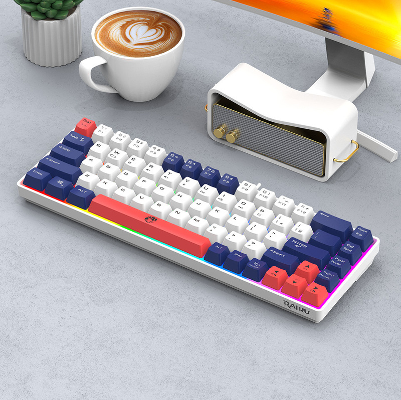 Cross-Border Lei Kui K68 Dual Color Matching 68-Key Gaming Competitive Office Notebook E-Sports Wired Gaming Wired Keyboard