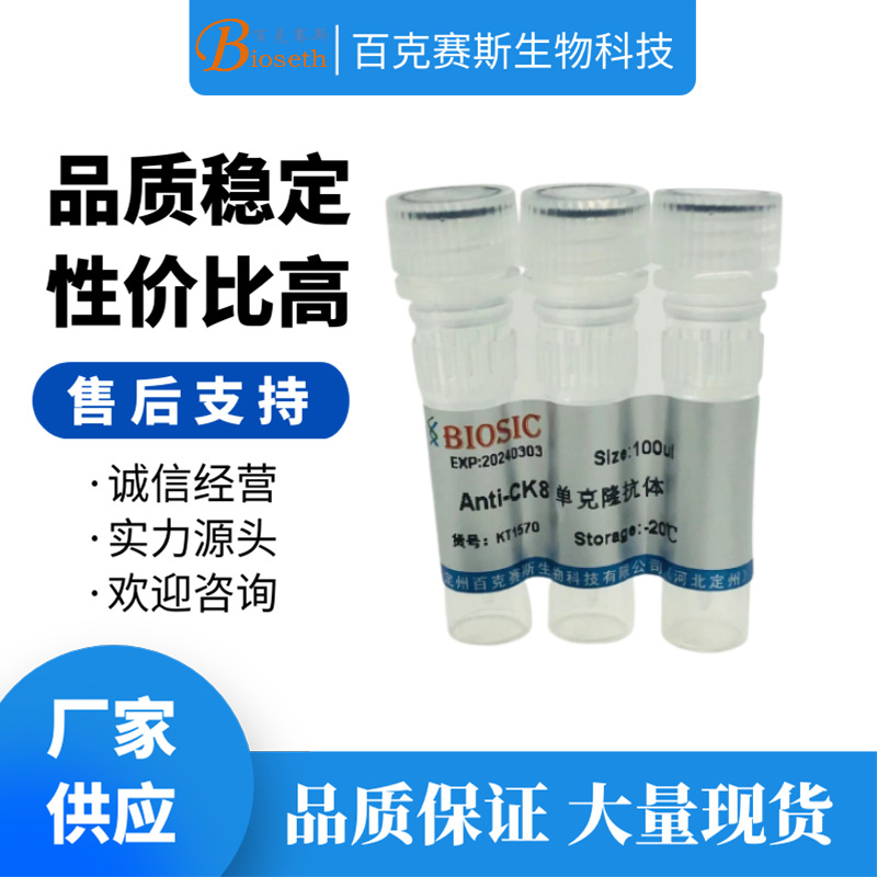 Anti-CK8 Monoclonal antibody 单克隆抗体