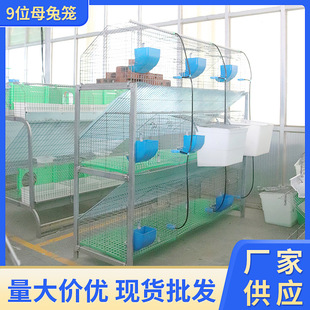 �S�����l9λĸ�û\�Bֳ�\ 3��9λ�û\ ĸ�û\ �N�������������ϴ