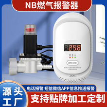 定制NB-IOT燃气报警器探测甲烷天然气液化气报警支持电话短信推送