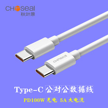 ���~ԭType-C��������������ݔ100W��䰲׿�A���֙C��5AQS521B