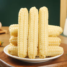 p{ĴָСŴƷNָŴ״l